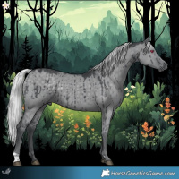 Horse Color:Silver Grullo Chinchilla Brindle