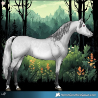 Horse Color:Silver Bay Chinchilla Dun