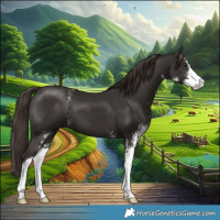 Horse Color:Liver Chestnut Sabino 