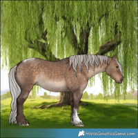 Horse Color:Silver Brown Dun Tobiano Rabicano 