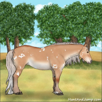 Horse Color:White Spotted Silver Brown Dun 