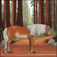 Horse Color:Silver Brown Sabino