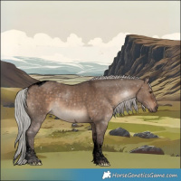 Horse Color:Void Silver Brown Dun Tobiano 
