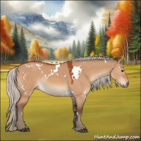 Horse Color:White Spotted Silver Bay Dun Rabicano