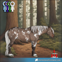 Horse Color:White Spotted Silver Brown Dun Mushroom
