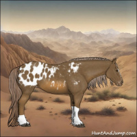 Horse Color:Chocolate Palomino Sabino Tobiano Appaloosa Rabicano 
