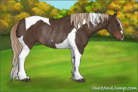 Horse Color:Liver Chestnut Tobiano Rabicano 