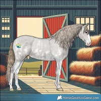 Horse Color:Smoky Grullo Sabino Appaloosa 