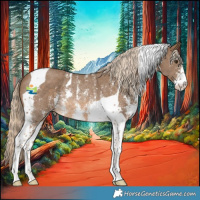 Horse Color:Chocolate Palomino Sabino Tobiano Rabicano 