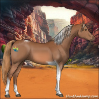 Horse Color:Chestnut Tobiano 