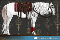 Horse Color:Bay Sabino Appaloosa