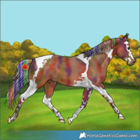 Horse Color:Painted Nacre Silver Bay Splash Tobiano