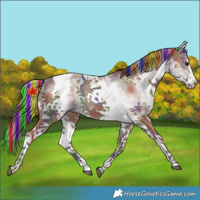 Horse Color:Painted Nacre White Spotted Silver Smoky Black Splash Tobiano 