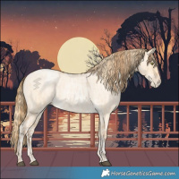 Horse Color:Bay Roan Pearl Dun  and Buckskin Roan Pearl 