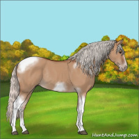 Horse Color:Silver Bay Dun Sabino Tobiano Frame Rabicano 