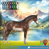 Horse Color:Liver Chestnut 