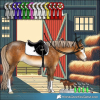 Horse Color:Chocolate Palomino 