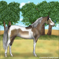 Horse Color:Gray Brown Dun Sabino Splash Tobiano Brindle 