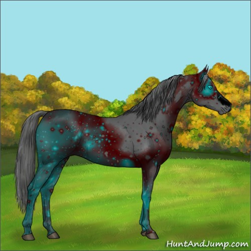 Horse Color:ERROR: UNKNOWN ANOMALY