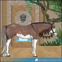 Horse Color:Liver Red Roan Splash 