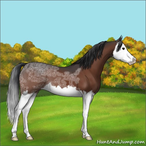 Horse Color:Brown Ice Splash 