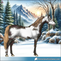 Horse Color:Midnight Chestnut Ice Frame 