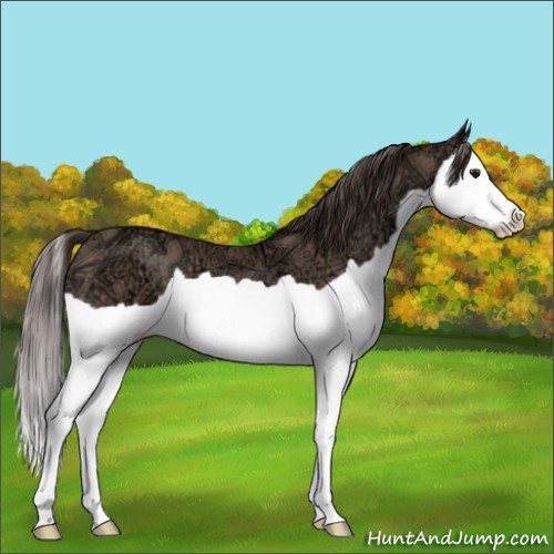 Horse Color:Classic Champagne Ice Splash 