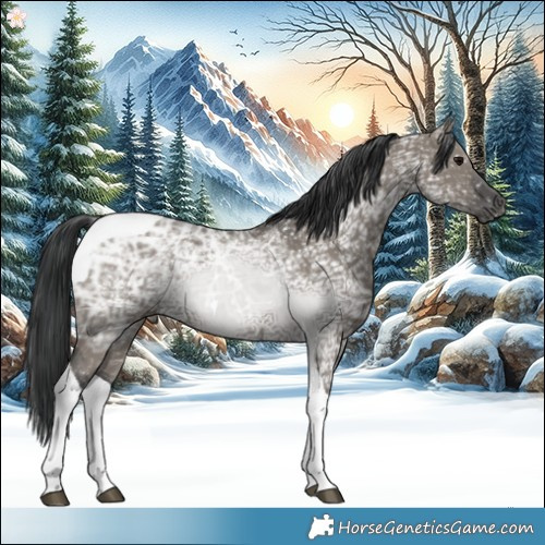 Horse Color:Grullo Ice Tobiano 