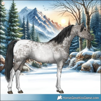 Horse Color:Grullo Ice Tobiano 