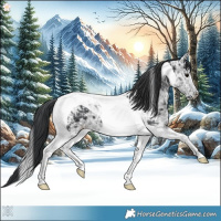 Horse Color:Black Ice Tobiano 