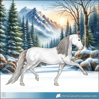 Horse Color:White Spotted Silver Bay Ice Splash 