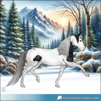 Horse Color:Black Ice Splash Tobiano 