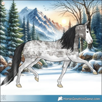 Horse Color:Grullo Ice Splash