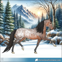 Horse Color:Brown Ice 