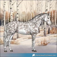 Horse Color:White Spotted Silver Black Snowflake Varnish Rabicano 