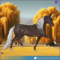 Horse Color:Liver Chestnut Mushroom 