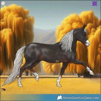 Horse Color:Liver Chestnut Mushroom 