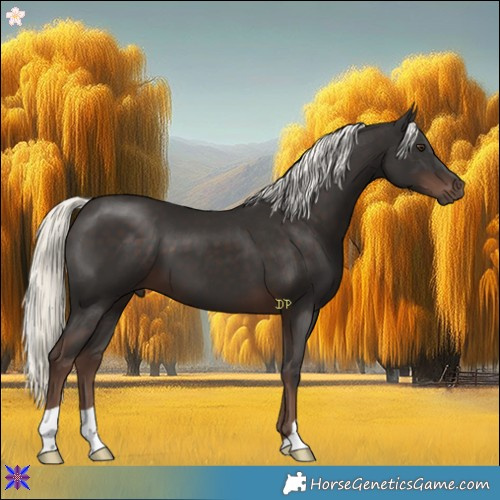 Horse Color:Liver Chestnut Mushroom 