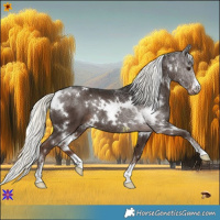Horse Color:White Spotted Liver Chestnut Mushroom Rabicano 