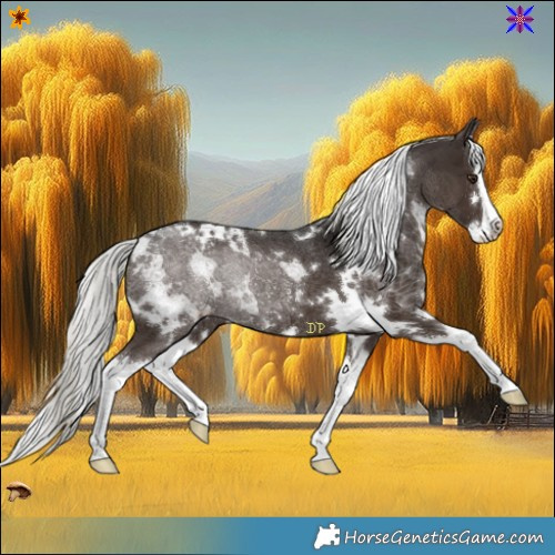 Horse Color:White Spotted Liver Chestnut Mushroom Splash Rabicano 