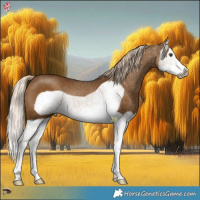 Horse Color:Chocolate Palomino Mushroom Splash Frame 