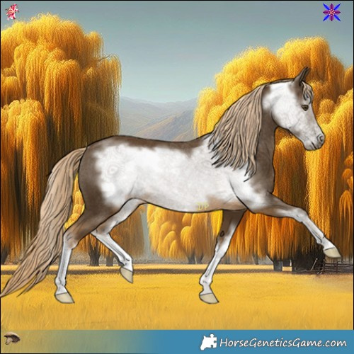 Horse Color:White Spotted Chocolate Palomino Mushroom Frame Rabicano 