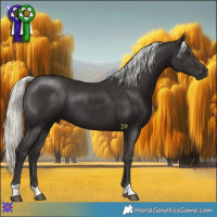 Horse Color:Liver Chestnut Mushroom 