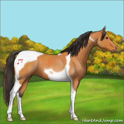 Horse Color:Buckskin Roan Tobiano 