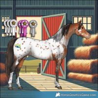 Horse Color:Bay Tobiano Near Leopard 
