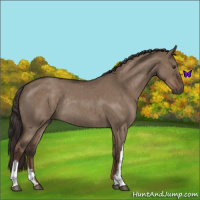 Horse Color:Liver Red Dun Roan Rabicano 