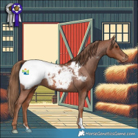 Horse Color:Chestnut Snowcap 