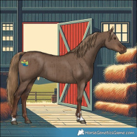 Horse Color:Liver Red Dun Brindle 