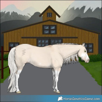 Horse Color:Silver Classic Champagne Dun Splash Frame 