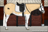 Horse Color:Silver Buckskin Dun Splash